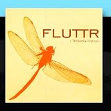 Trithemis Festiva