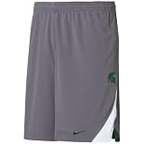 Nike Michigan State Spartans Ash Training Shorts