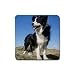 Border Collie Rubber Square Coaster (4 pack)