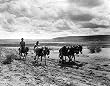 Hopis and Burros on the Move Photograph - Beautiful 16x20-inch Photographic Print from the Library of Congress Collection
