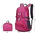 Paladineer 25L Ultra Lightweight Ultraviolet-proof Handy Packable Backpack Hiking Daypack Travel Backpack
