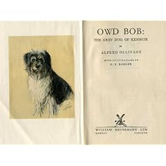 Owd Bob