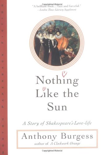 Nothing Like the Sun (Norton Paperback Fiction)