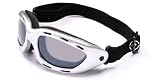 Silver & Smoke Womens Snow Goggles
