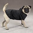 Image of Dog Hoodie Black