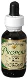 SGJ�v���_�N�c H-PL �v���|���X�@�t�́@25ml