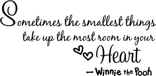 Sometimes the Smallest Things Take up the Most Room in Your Heart Vinyl Wall Decal