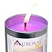 Aurorae Scented Soy Aromatherapy & Meditation Candle