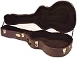 Takamine GC1118TCAN Classical/Parlor Acoustic Guitar Case