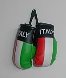 Italian Italy Mini Boxing Gloves FREE S/H