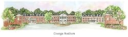 Georgia Southern University - Collegiate Scenes - 9" x 18"