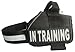 Service Dog in Training Vest - Adjustable No Pull Dog Harness with Patches. in Training Dog Vest for Service Dogs Small, Medium and Large Easy On/Off Dog in Training Harness for Service Dog Training