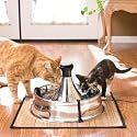 Drinkwell 360 Stainless Steel Fountain (Silver)