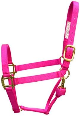 Rose America 48219 BMB Premium Yearling Halter, Fuchsia