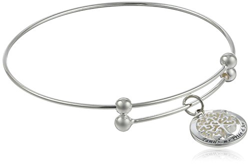 Sterling Silver Adjustable “Family My Pride and Joy” Tree Charm Bangle Bracelet