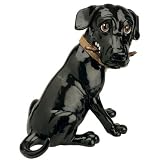 Pets With Personality - Sweep The Black Labrador