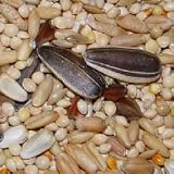Higgins Supreme Cockatiel Seed Mix – 50 lb Bag