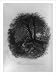 Historic Print (L): While nature lies around deep--lull'd in noon / Schmolze.
