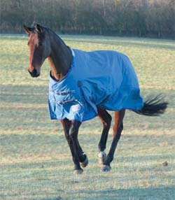 Shires Winter Typhoon 330g Turnout Rug