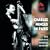 In Paris-the Complete America Session