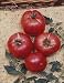25 Seeds, Tomato 