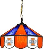 NCAA Illinois Fighting Illini 14 Tiffany Style Hanging Lamp