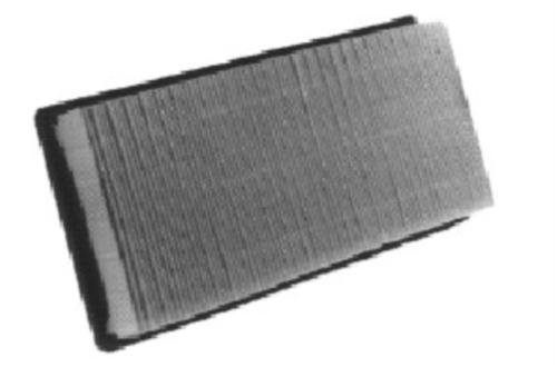 FRAM PPA3660 Air Hog Panel Filter