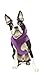 Gooby Fleece Vest Hoodie Dog Sweater - Purple, Small - Warm Pullover Dog Hoodie with O-Ring Leash for Small to Medium Dogs