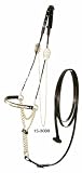 ROYAL KING Gold / Silver Nose Arabian Show Halter with Lead
