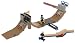 Search : LEGO Sports Gravity Games: Skateboard Vert Park Challenge