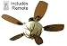 MesaVista, Remote Control, Rustic Ceiling Fan with Light. Oil Rubbed Bronze. 180 Watts of Light, Antler Light, Blades 1 Side Blade Is Pine, 1 Side Is Oak. Fan Can Be Set up As 3-blade, 4-blade or 5-blade, All Parts Included. Remote Operates 3 Speeds, Reverse, and Light On/off and Dimming.