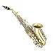 Search : Cecilio 2Series Gold Lacquer Brass w/ Nickel Plated Keys Curved Soprano Saxophone w/ Case and Accessories