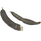 Carob (also known as boxer)