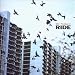 Ride-Ox4 the Best of Ride