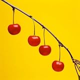 Four Cherries by Tom Marks - 24
