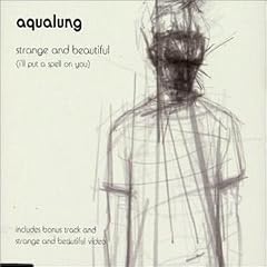 Strange & Beautiful [CD 1]