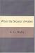 When the Sleeper Awakes (Paperback)