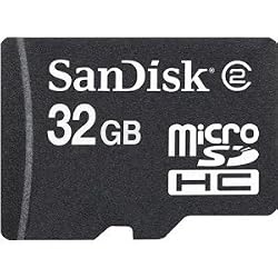SanDisk 32GB microSDHC Memory Card (Bulk Package)