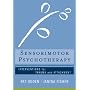Body As Resource, The by Pat Ogden PHD