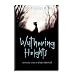 Wuthering Heights: From the Novel by Emily Bronte (Usborne Classics Retold)