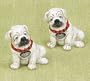 Ceramics Bulldog Salt and Pepper Shakers Gift Set - Dog lover/owner gift