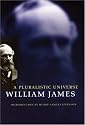 A Pluralistic Universe