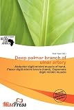 Deep palmar branch of ulnar artery