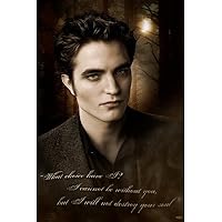 The Twilight Saga: New Moon Movie (Edward, What Choice Have I) Poster Print