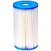 Intex 59905E Type B Pool Filter Cartridge