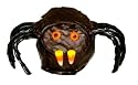Webster - Belgian Chocolate Caramel Apple Spider