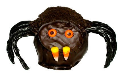 Webster - Belgian Chocolate Caramel Apple Spider by A Bountiful Harvest