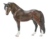 Welsh Pony - Cefnoakpark Bouncer&nbsp;