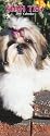 Shih Tzu 2007 Slimline Calendar
