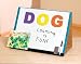 Magnetic-Dry-Erase Easel Image